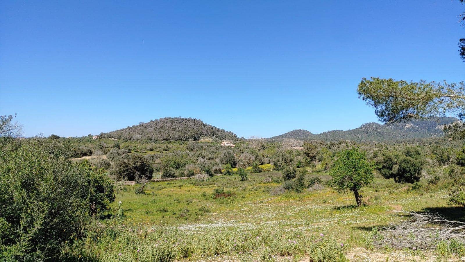 Byggetomt til salgs i Felanitx - € 590 000 (Ref: 8913012)