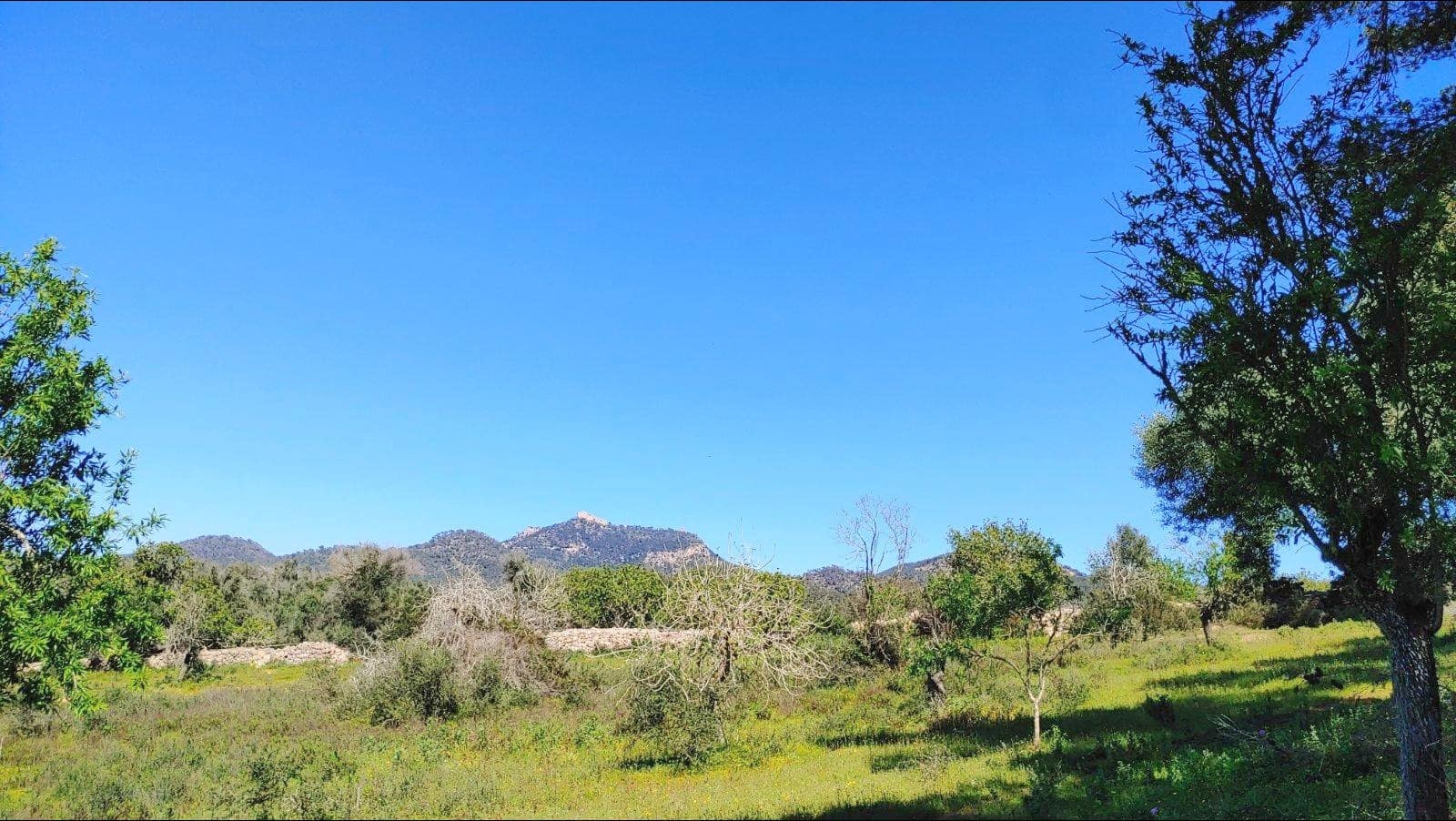 Byggetomt til salgs i Felanitx - € 590 000 (Ref: 8913012)