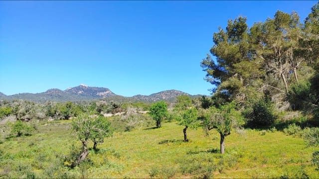 Building Plot for sale in Felanitx - € 590,000 (Ref: 8913012)