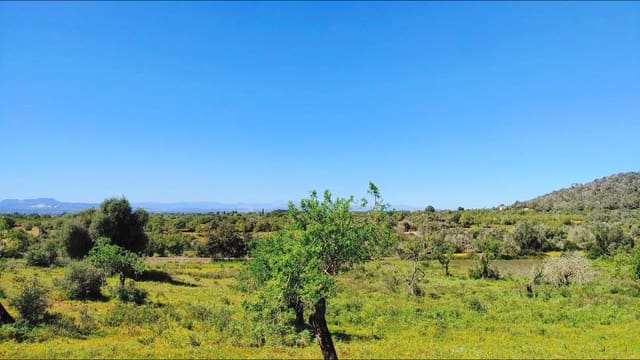 Building Plot for sale in Felanitx - € 590,000 (Ref: 8913012)