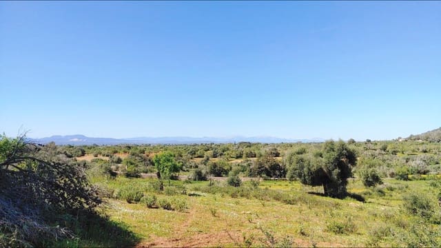 Building Plot for sale in Felanitx - € 590,000 (Ref: 8913012)