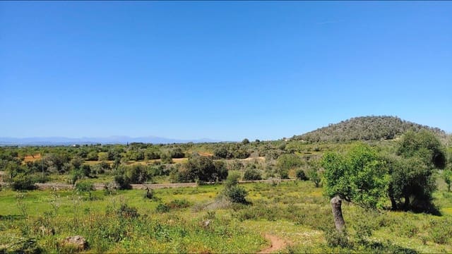 Building Plot for sale in Felanitx - € 590,000 (Ref: 8913012)