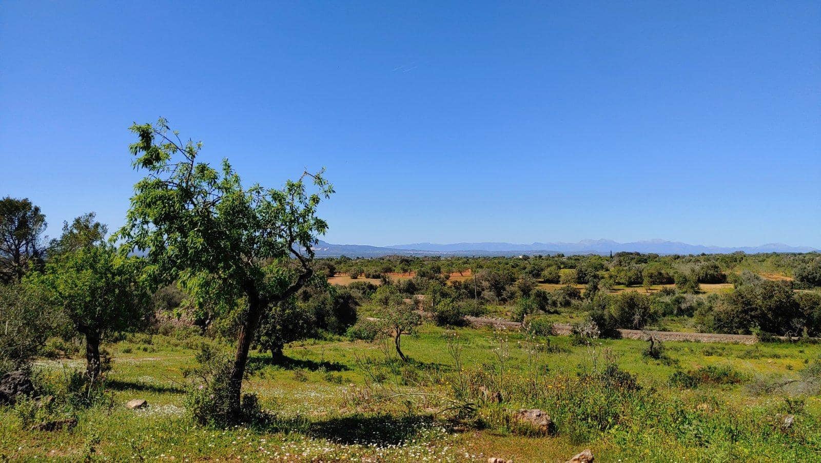 Byggetomt til salgs i Felanitx - € 590 000 (Ref: 8913012)