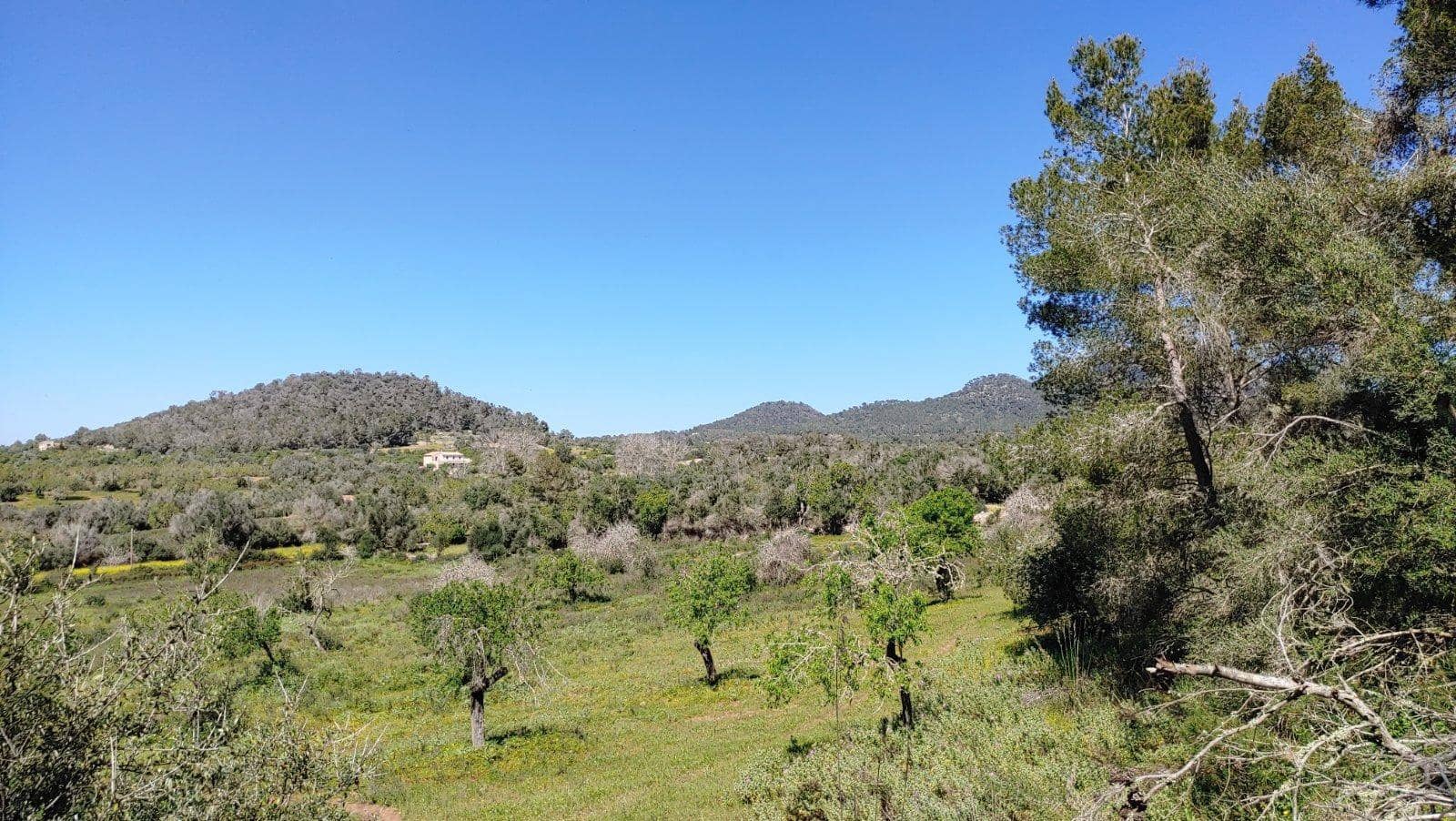 Byggetomt til salgs i Felanitx - € 590 000 (Ref: 8913012)