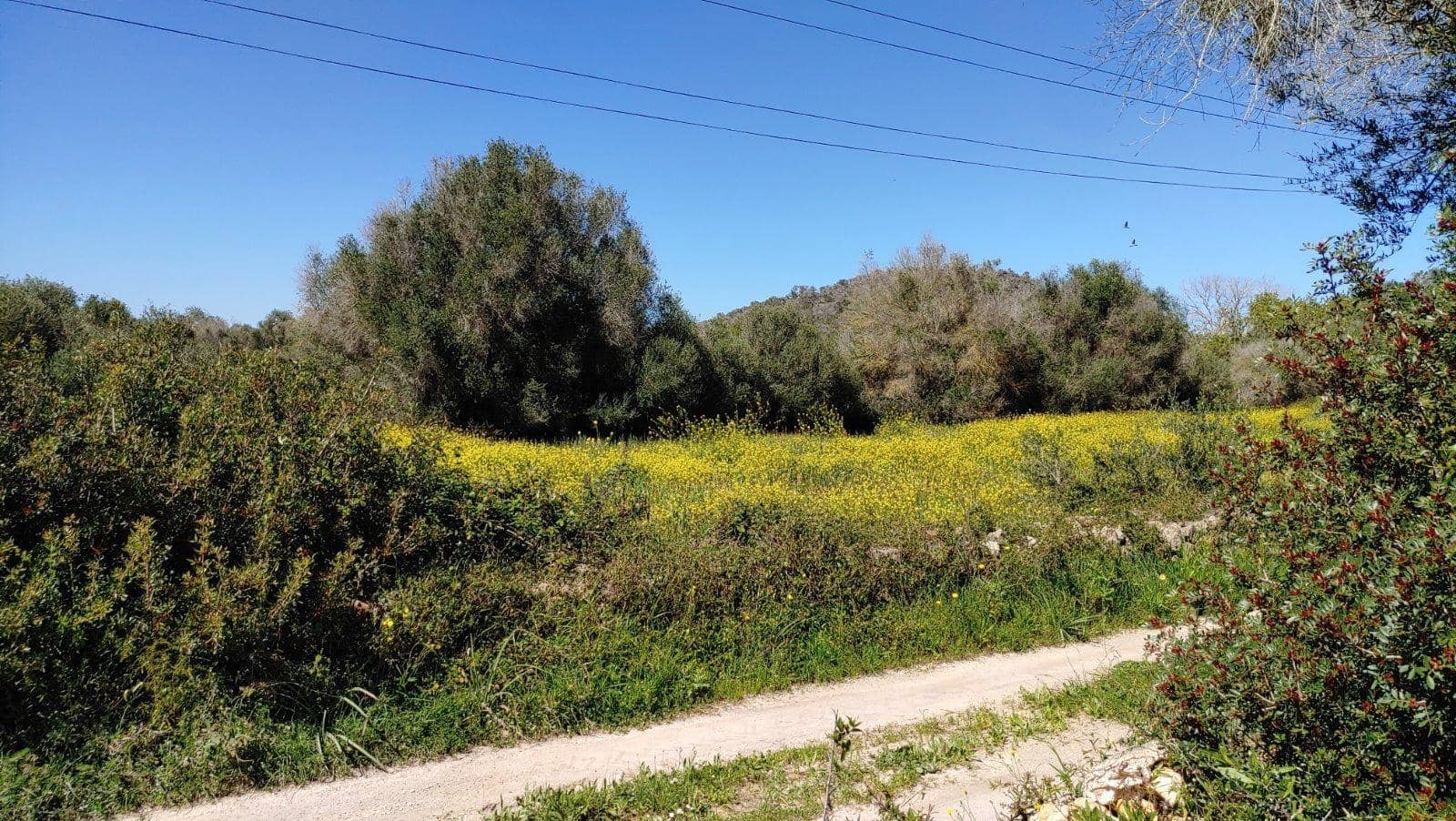 Byggetomt til salgs i Felanitx - € 590 000 (Ref: 8913012)