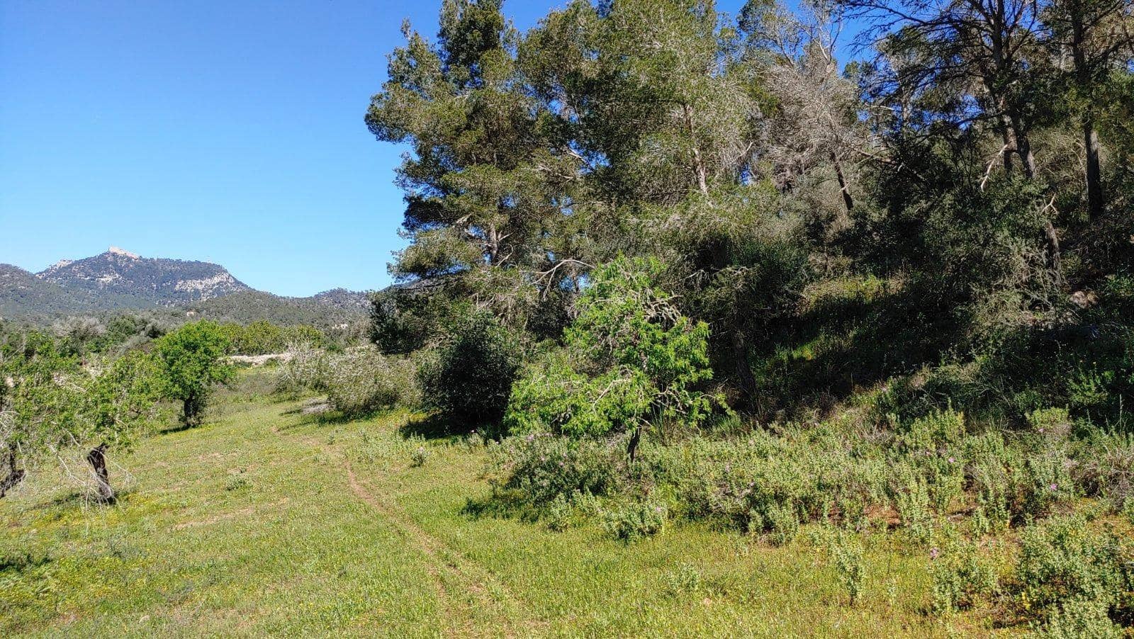 Byggetomt til salgs i Felanitx - € 590 000 (Ref: 8913012)