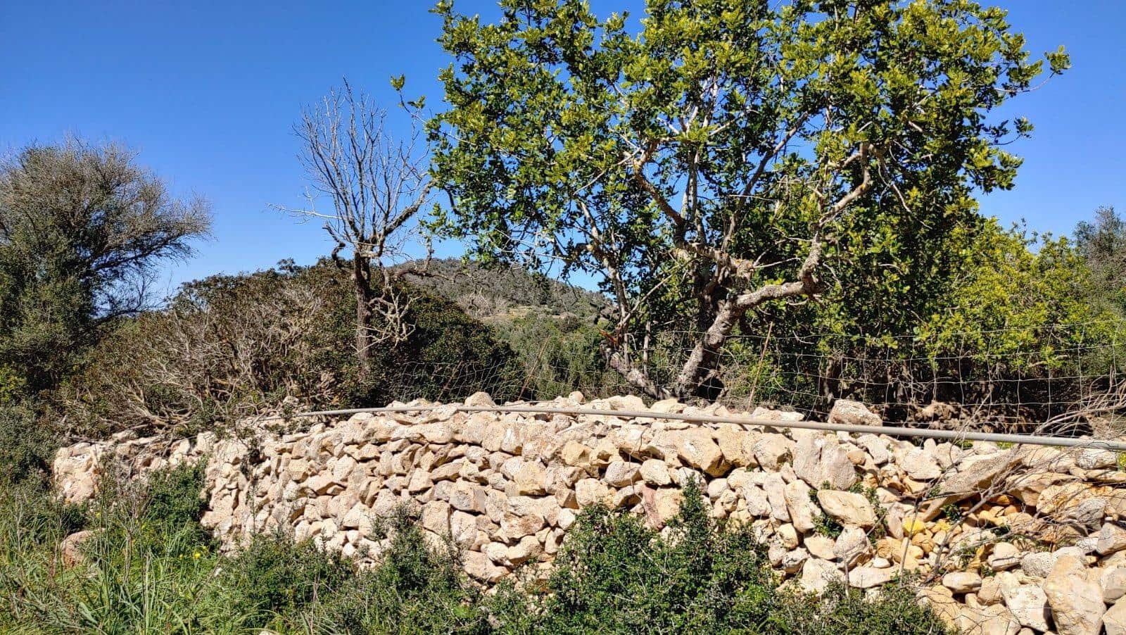 Byggetomt til salgs i Felanitx - € 590 000 (Ref: 8913012)