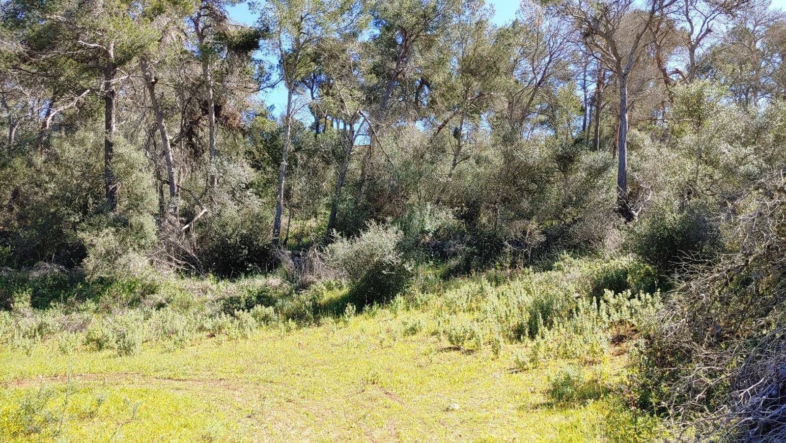 Byggetomt til salgs i Felanitx - € 590 000 (Ref: 8913012)