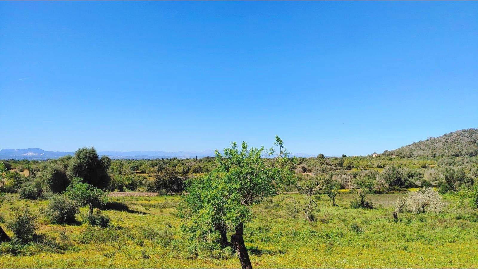 Building Plot for sale in Felanitx - € 790,000 (Ref: 8913012)