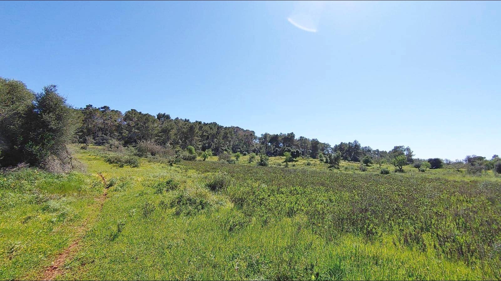 Building Plot for sale in Felanitx - € 790,000 (Ref: 8913012)