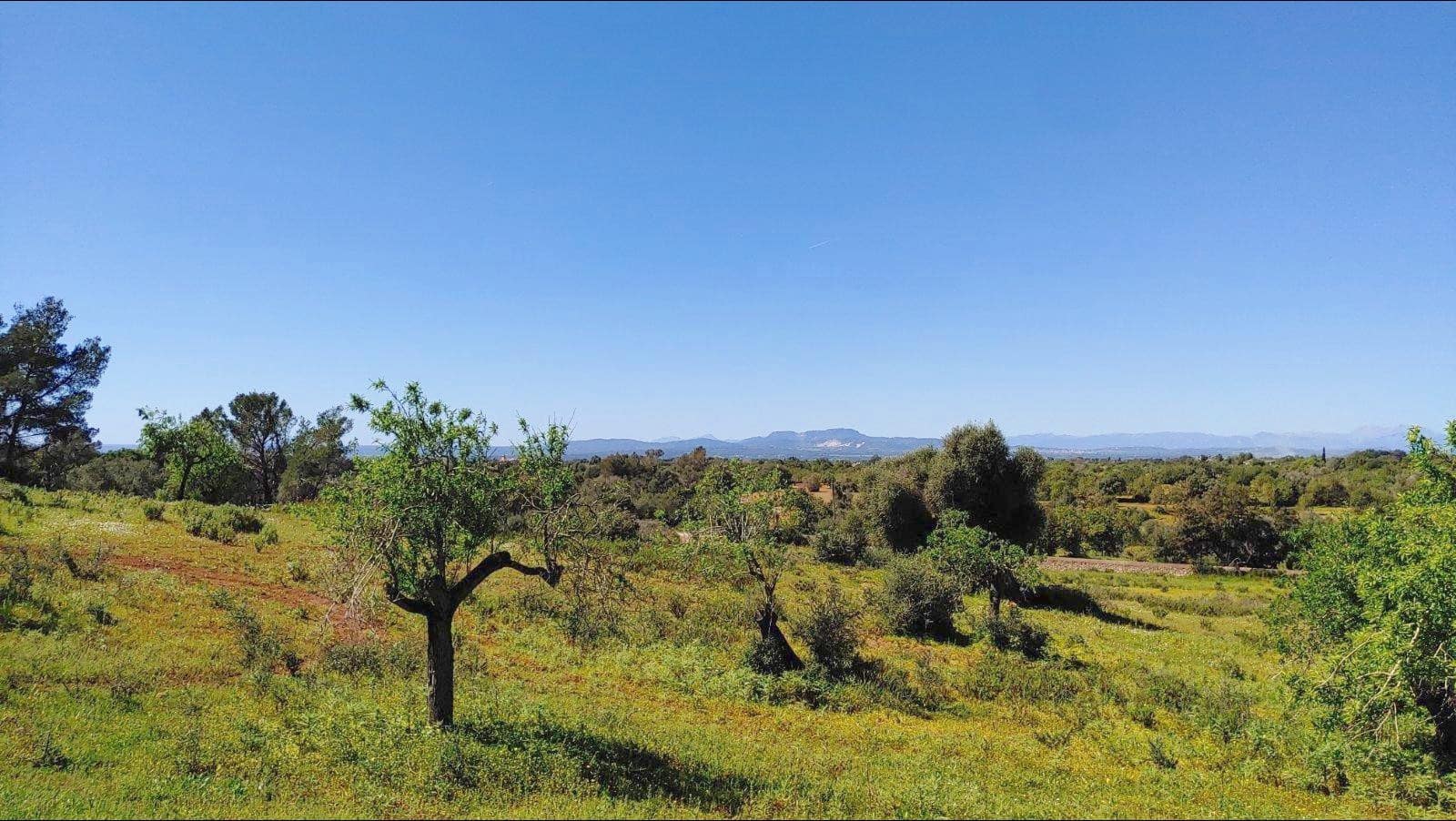 Building Plot for sale in Felanitx - € 790,000 (Ref: 8913012)