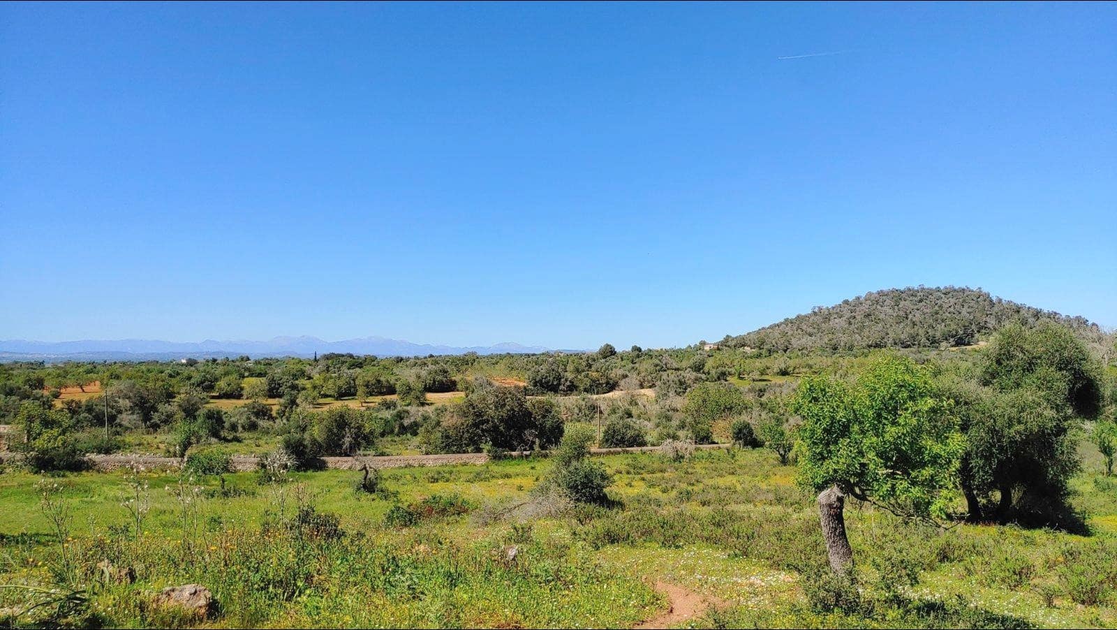 Building Plot for sale in Felanitx - € 790,000 (Ref: 8913012)