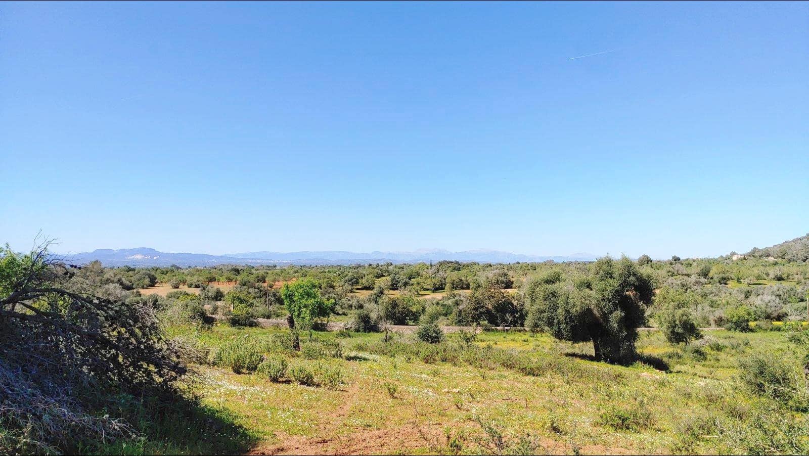 Building Plot for sale in Felanitx - € 790,000 (Ref: 8913012)