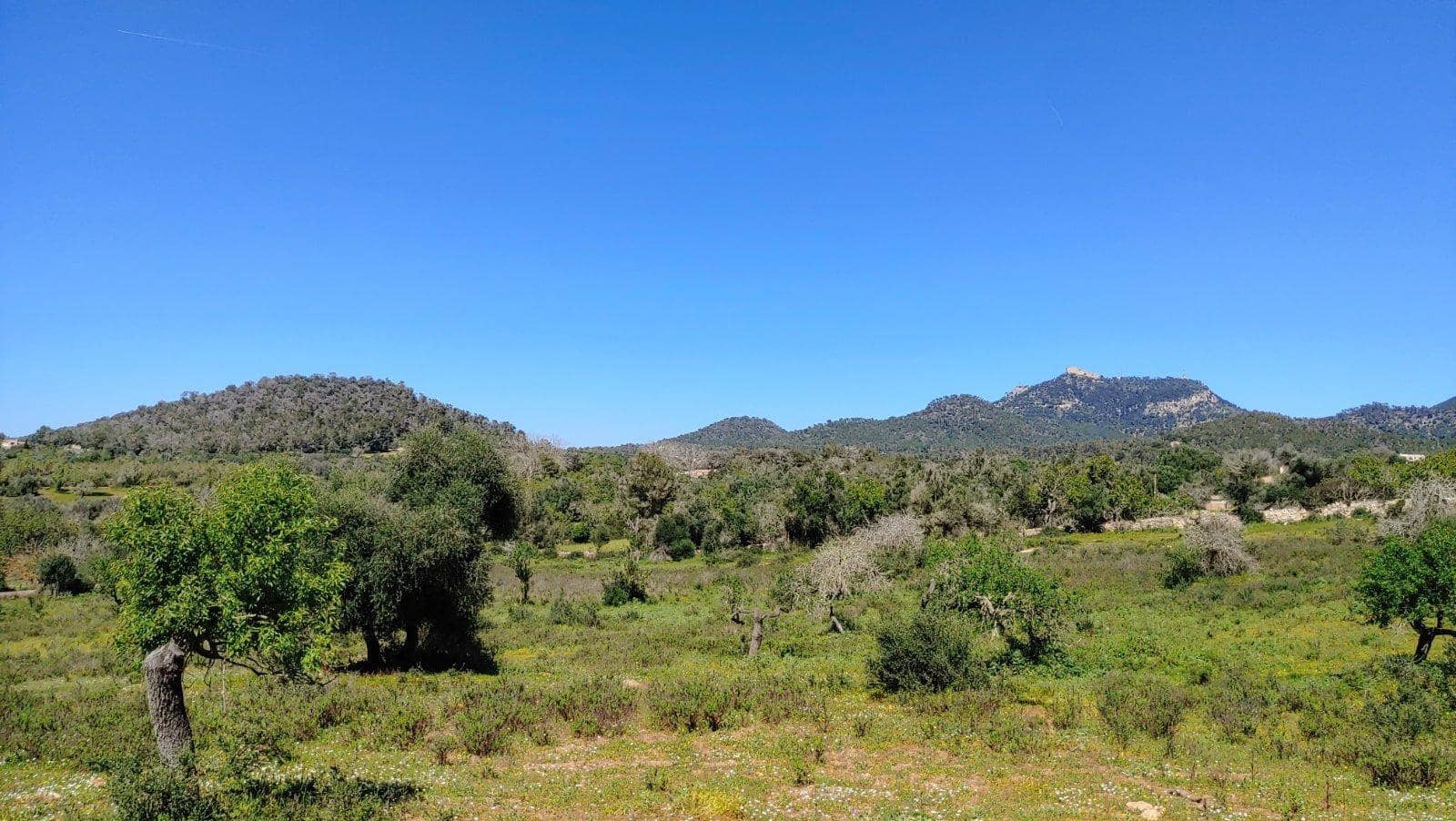 Building Plot for sale in Felanitx - € 790,000 (Ref: 8913012)