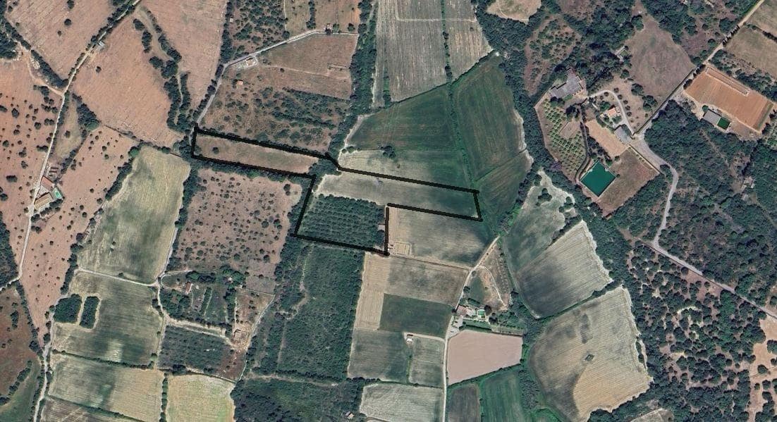 Building Plot for sale in Muro - € 250,000 (Ref: 8949005)