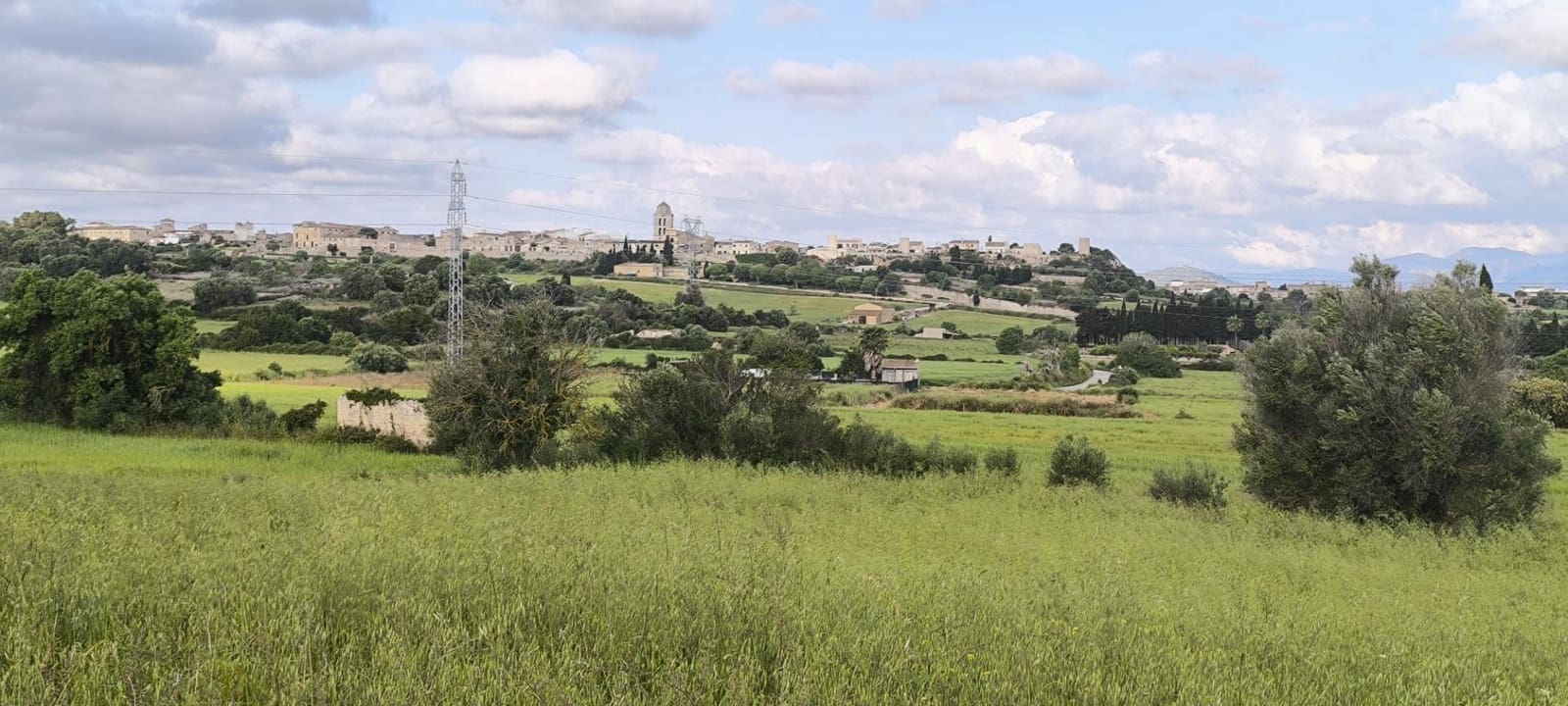 Building Plot for sale in Muro - € 250,000 (Ref: 8949005)