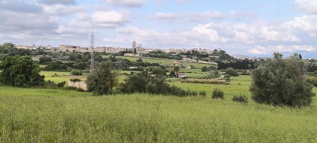 Building Plot for sale in Muro - € 250,000 (Ref: 8949005)