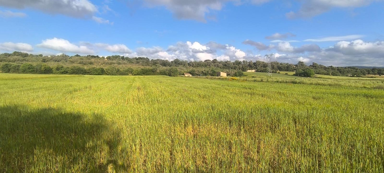 Building Plot for sale in Muro - € 250,000 (Ref: 8949005)