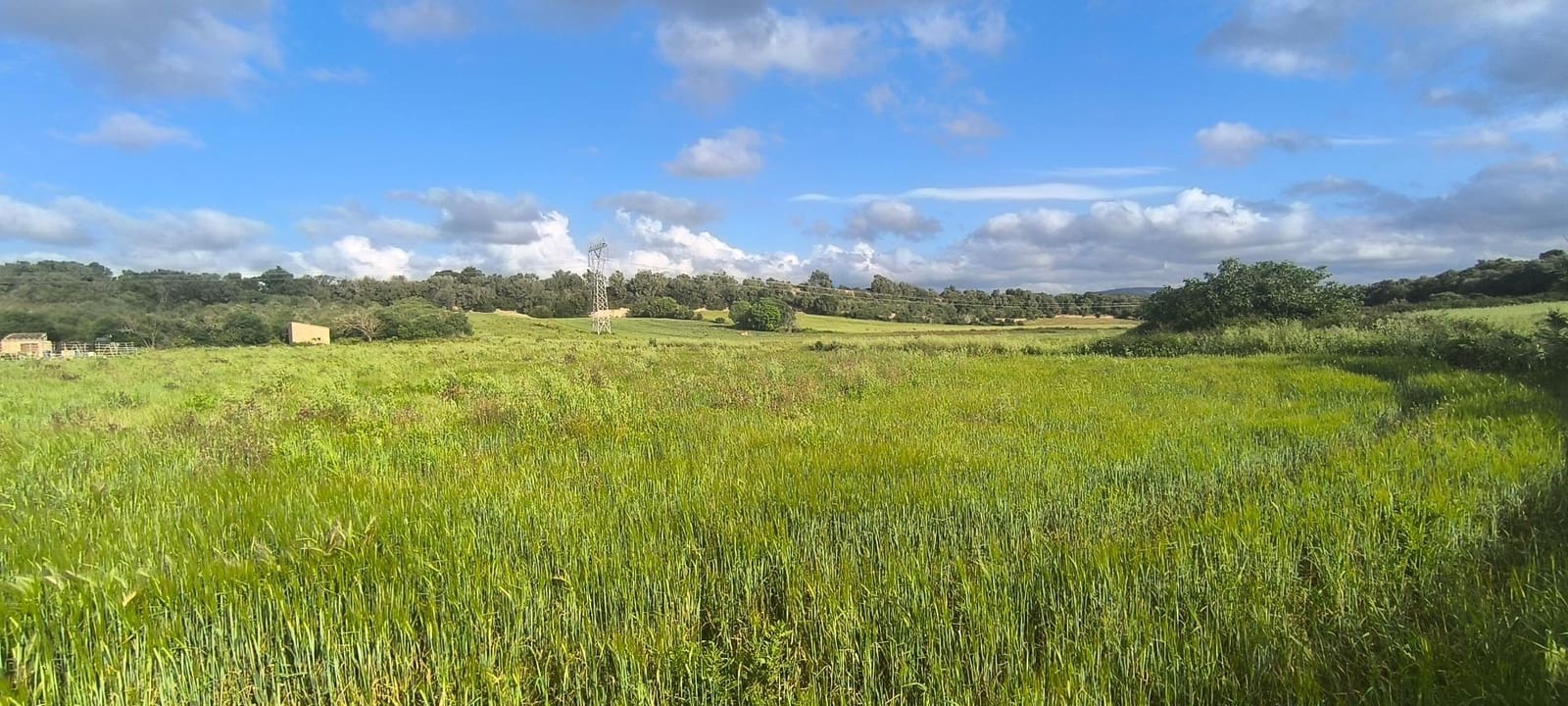 Building Plot for sale in Muro - € 250,000 (Ref: 8949005)