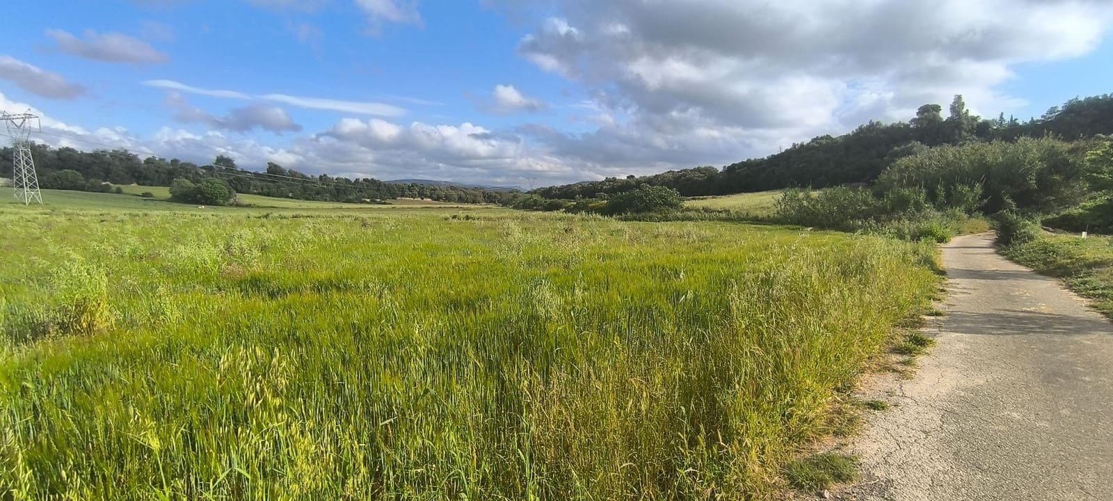 Building Plot for sale in Muro - € 250,000 (Ref: 8949005)