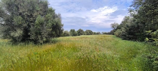 Building Plot for sale in Muro - € 250,000 (Ref: 8949005)