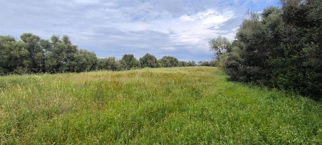 Building Plot for sale in Muro - € 250,000 (Ref: 8949005)