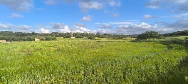 Building Plot for sale in Muro - € 250,000 (Ref: 8949005)