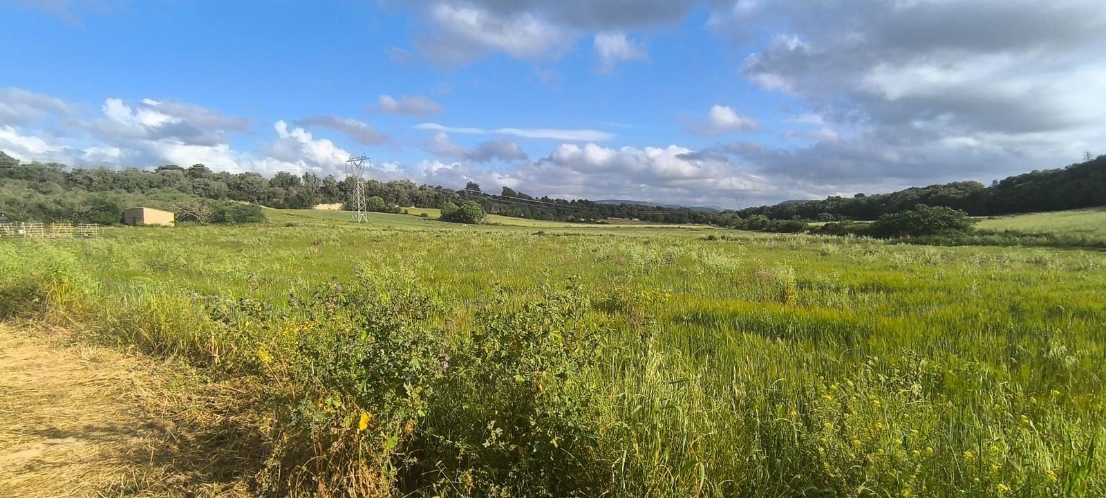 Building Plot for sale in Muro - € 250,000 (Ref: 8949005)