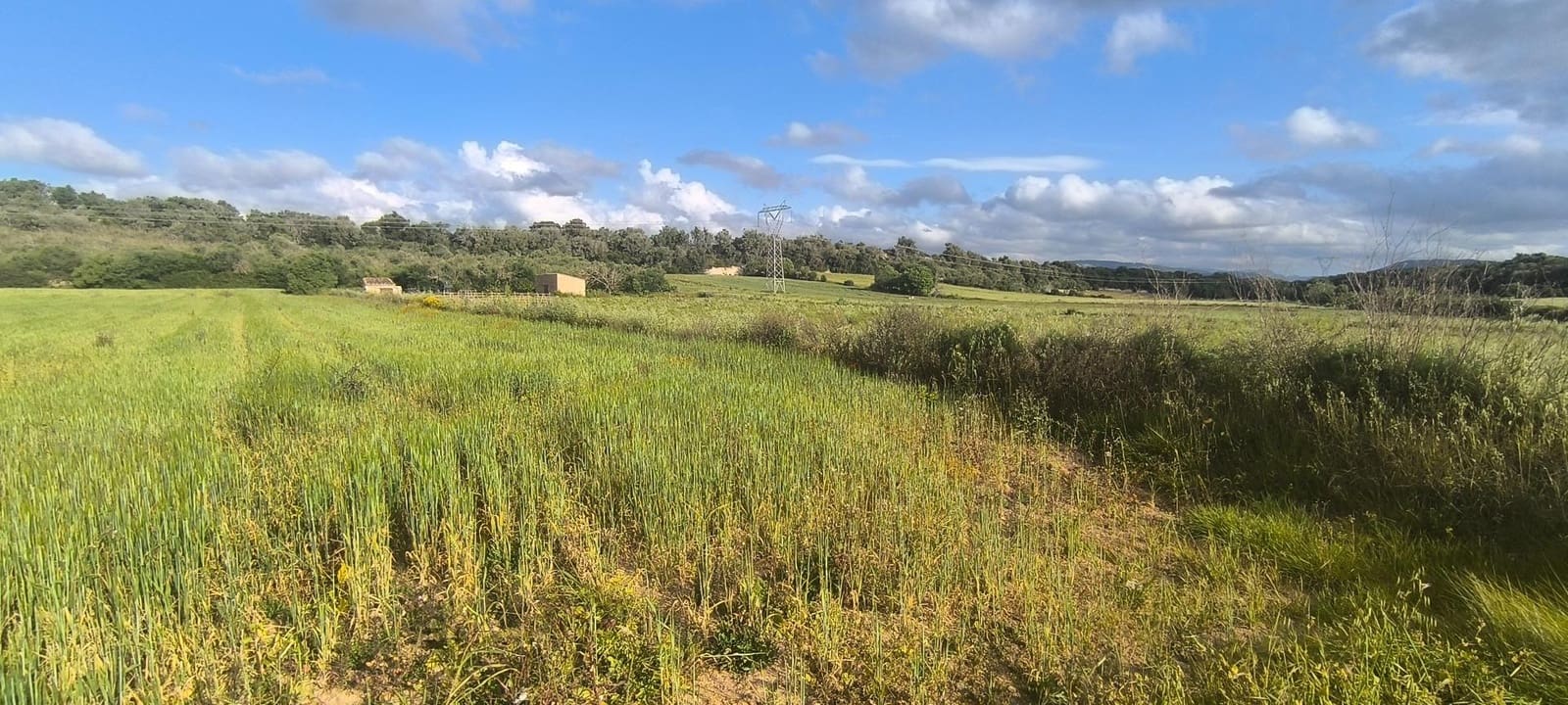 Building Plot for sale in Muro - € 250,000 (Ref: 8949005)