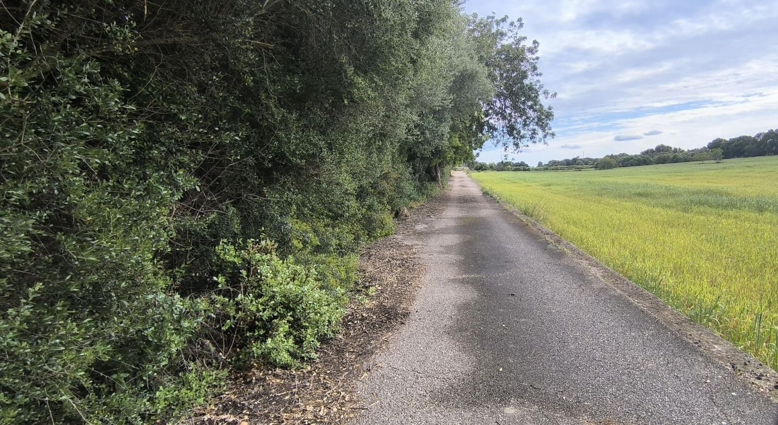 Building Plot for sale in Muro - € 250,000 (Ref: 8949005)