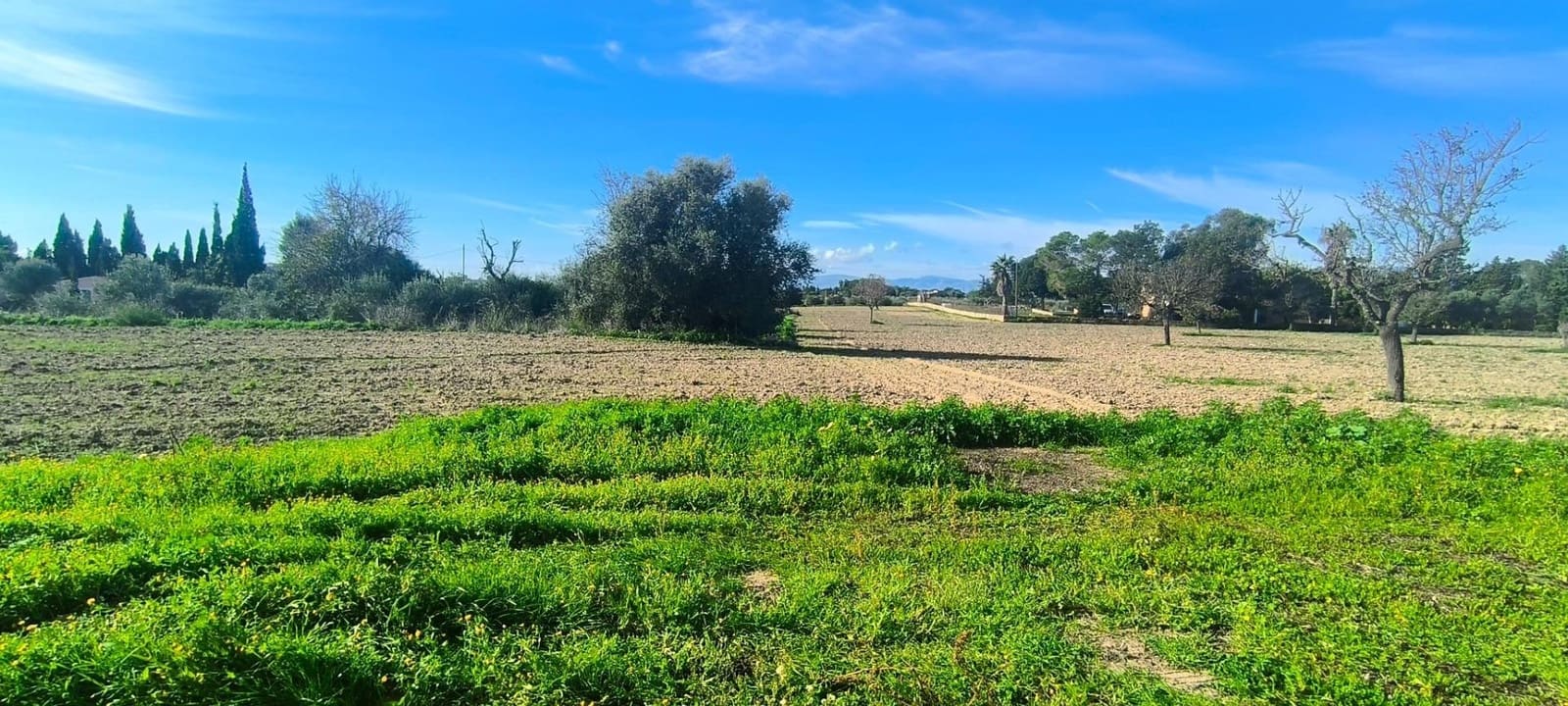 5 slaapkamer Finca/Landhuis te koop in Sa Cabaneta / La Cabaneta met zwembad garage - € 3.200.000 (Ref: 8972661)