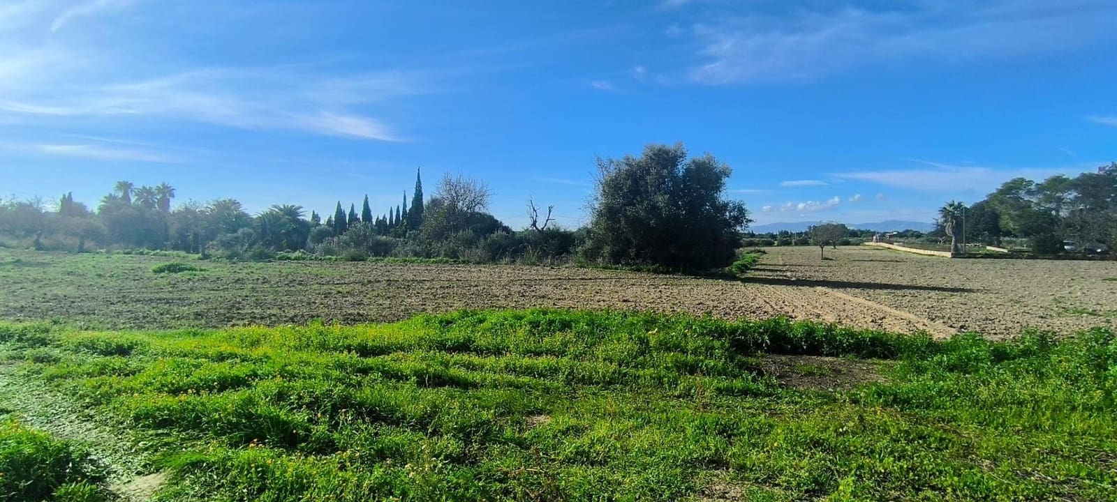 5 slaapkamer Finca/Landhuis te koop in Sa Cabaneta / La Cabaneta met zwembad garage - € 3.200.000 (Ref: 8972661)