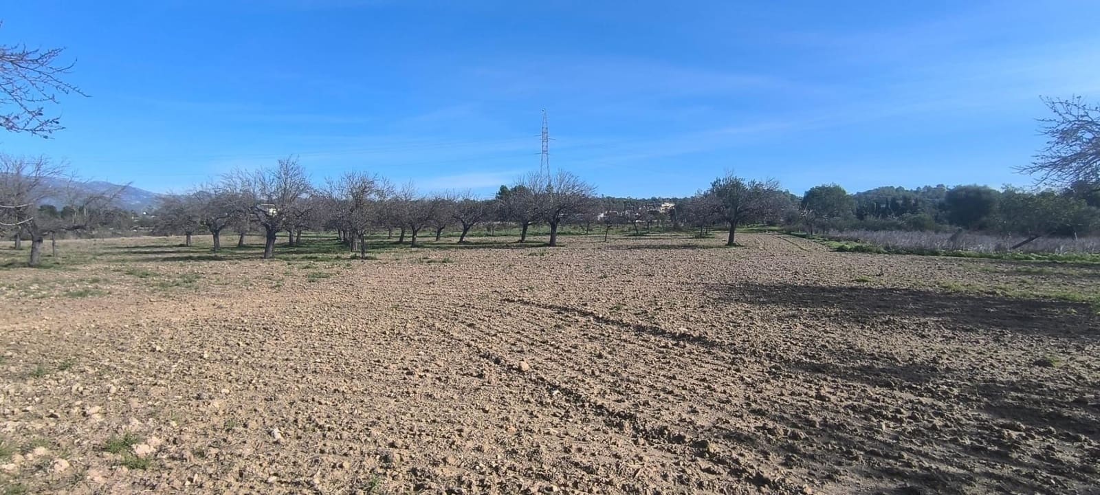 5 slaapkamer Finca/Landhuis te koop in Sa Cabaneta / La Cabaneta met zwembad garage - € 3.200.000 (Ref: 8972661)