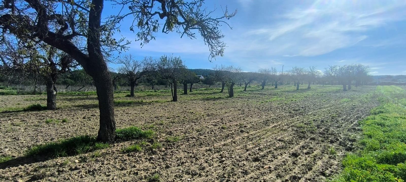 5 slaapkamer Finca/Landhuis te koop in Sa Cabaneta / La Cabaneta met zwembad garage - € 3.200.000 (Ref: 8972661)