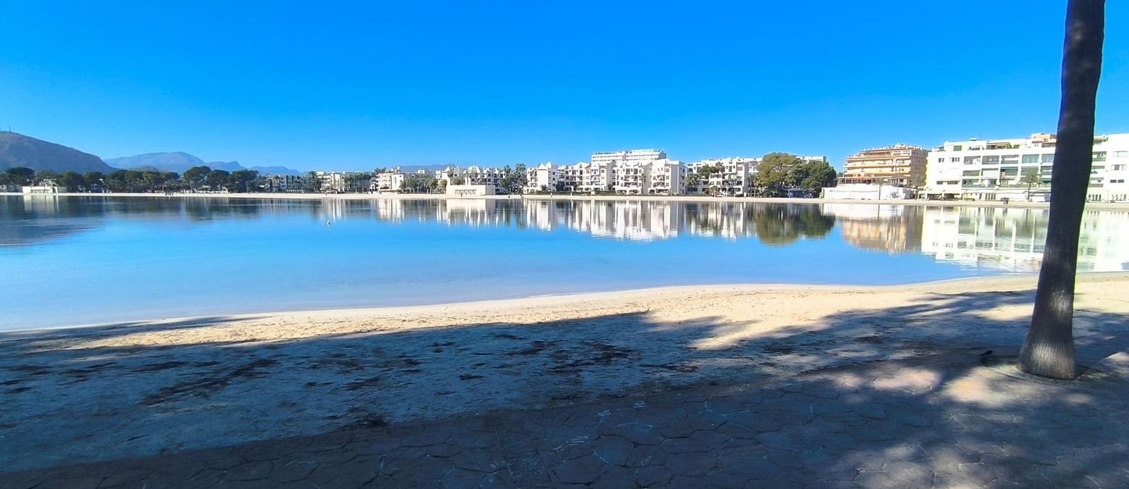 Studio for sale in Puerto de Alcudia - € 330,000 (Ref: 9391052)