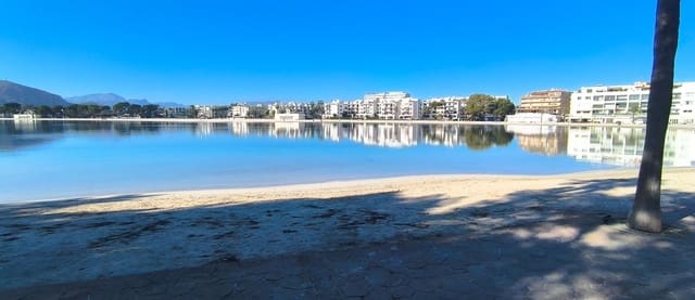 Studio til salg i Puerto de Alcudia, Alcúdia - € 350.000 (Ref: 9391052)
