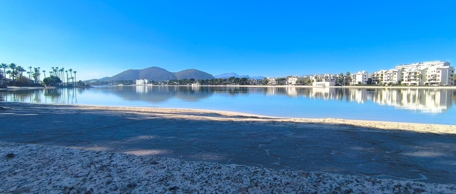 Studio for sale in Puerto de Alcudia - € 330,000 (Ref: 9391052)