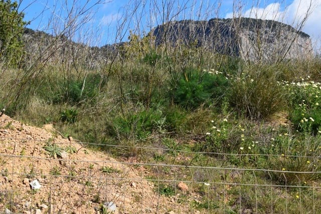 Byggegrund til salg i Alaró - € 360.000 (Ref: 9401318)