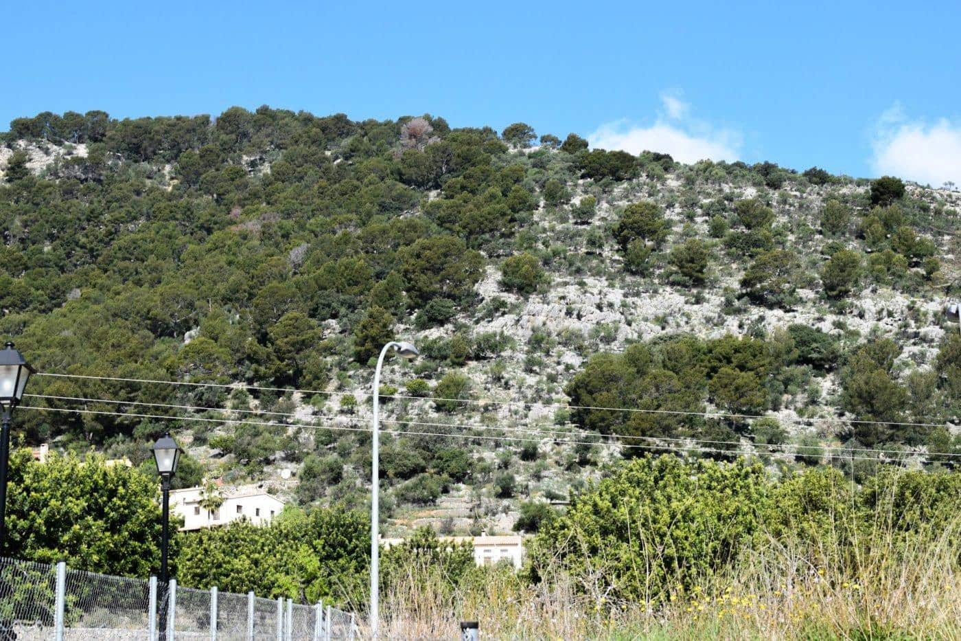 Building Plot for sale in Alaro - € 360,000 (Ref: 9401318)