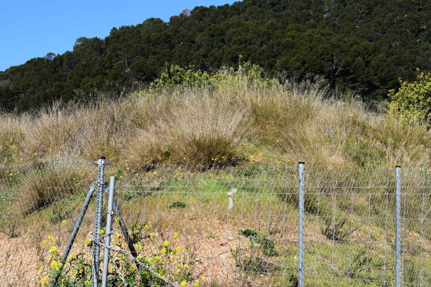 Building Plot for sale in Alaro - € 360,000 (Ref: 9401318)