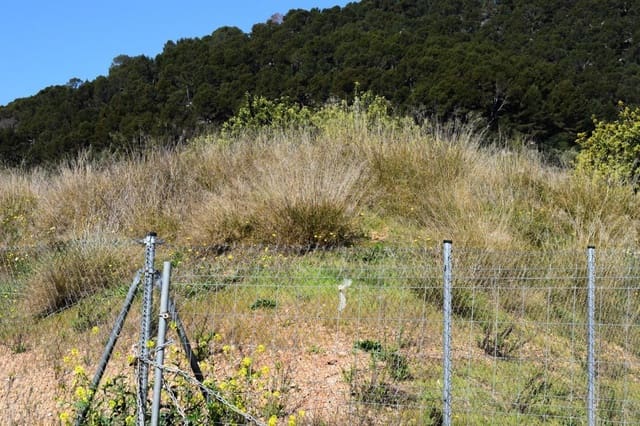 Terreno para Construção para venda em Alaró - 360 000 € (Ref: 9401318)
