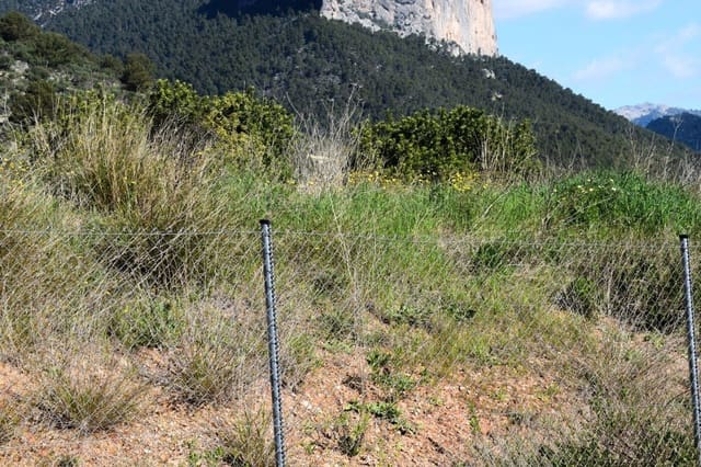 Terreno para Construção para venda em Alaró - 360 000 € (Ref: 9401318)