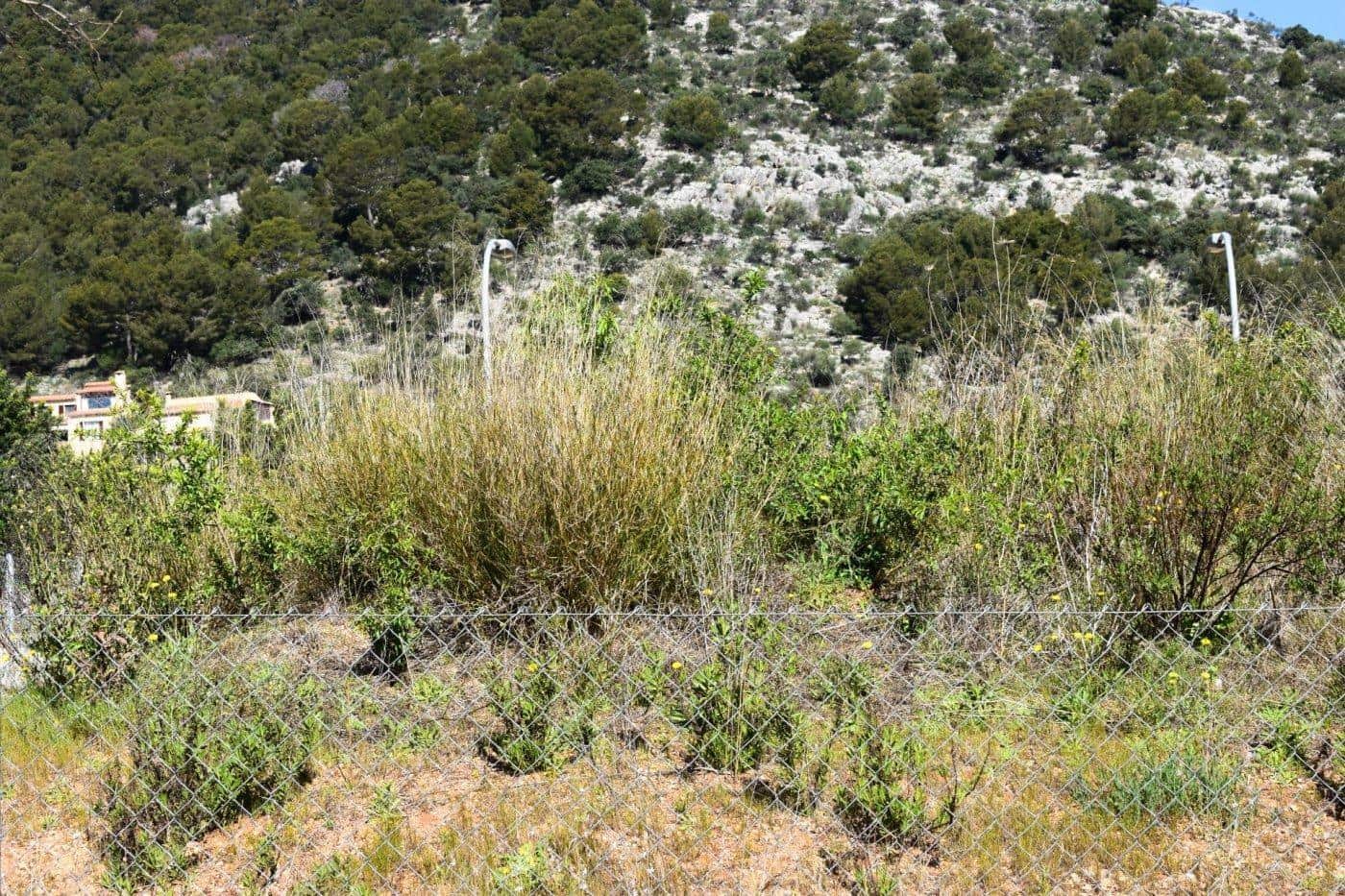 Building Plot for sale in Alaro - € 360,000 (Ref: 9401318)