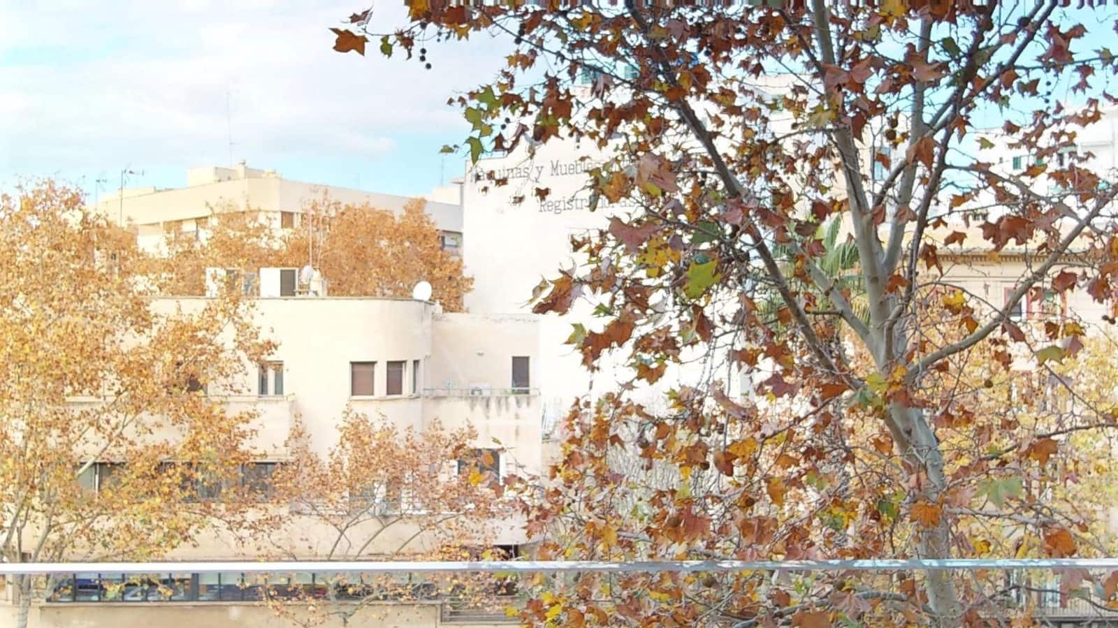 2 soverom Leilighet til leie i Palma de Mallorca med garasje - € 2 300 (Ref: 9440720)