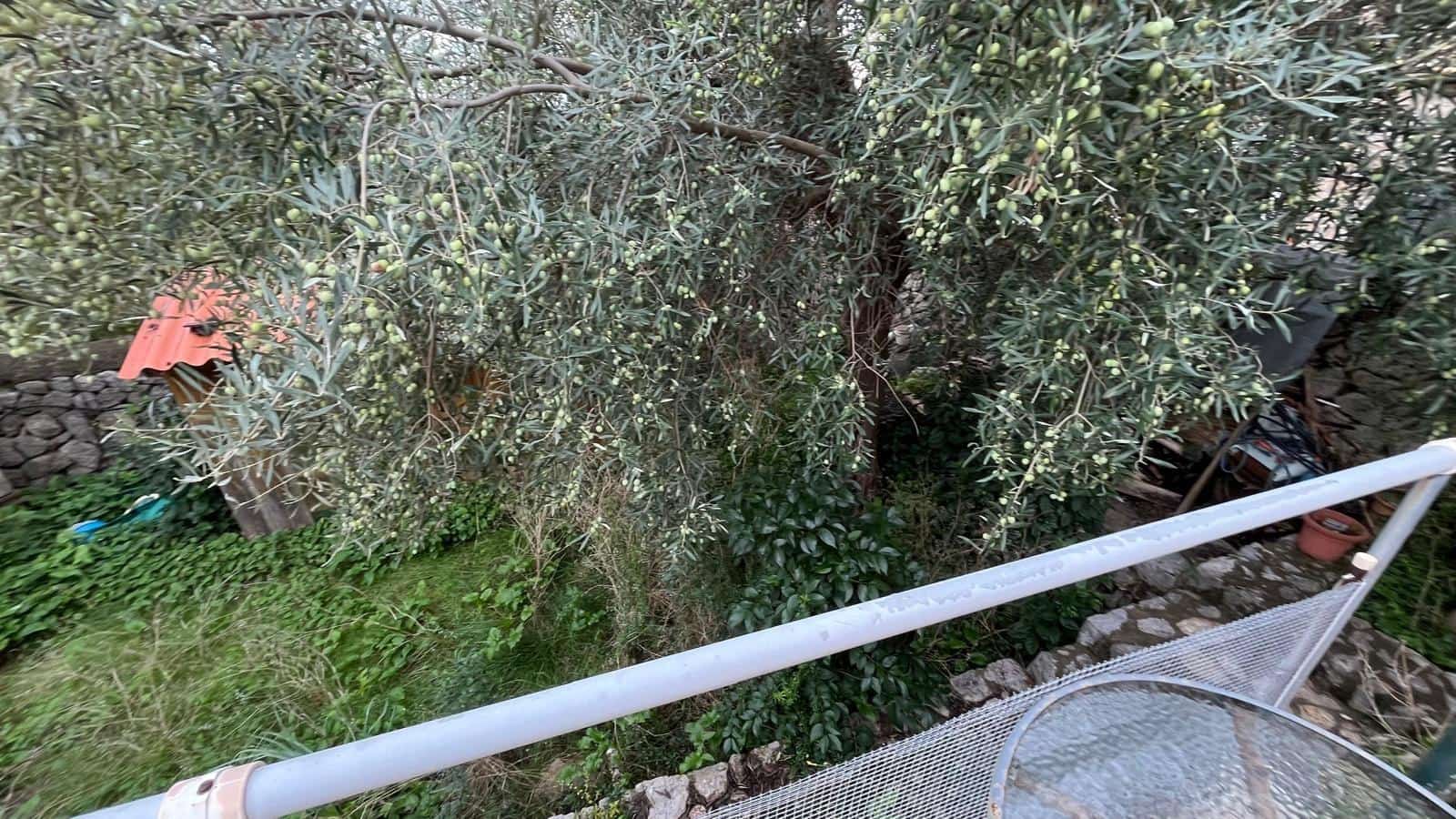 3 makuuhuone Huvila myytävänä paikassa Selva mukana uima-altaan - 780 000 € (Ref: 9543919)