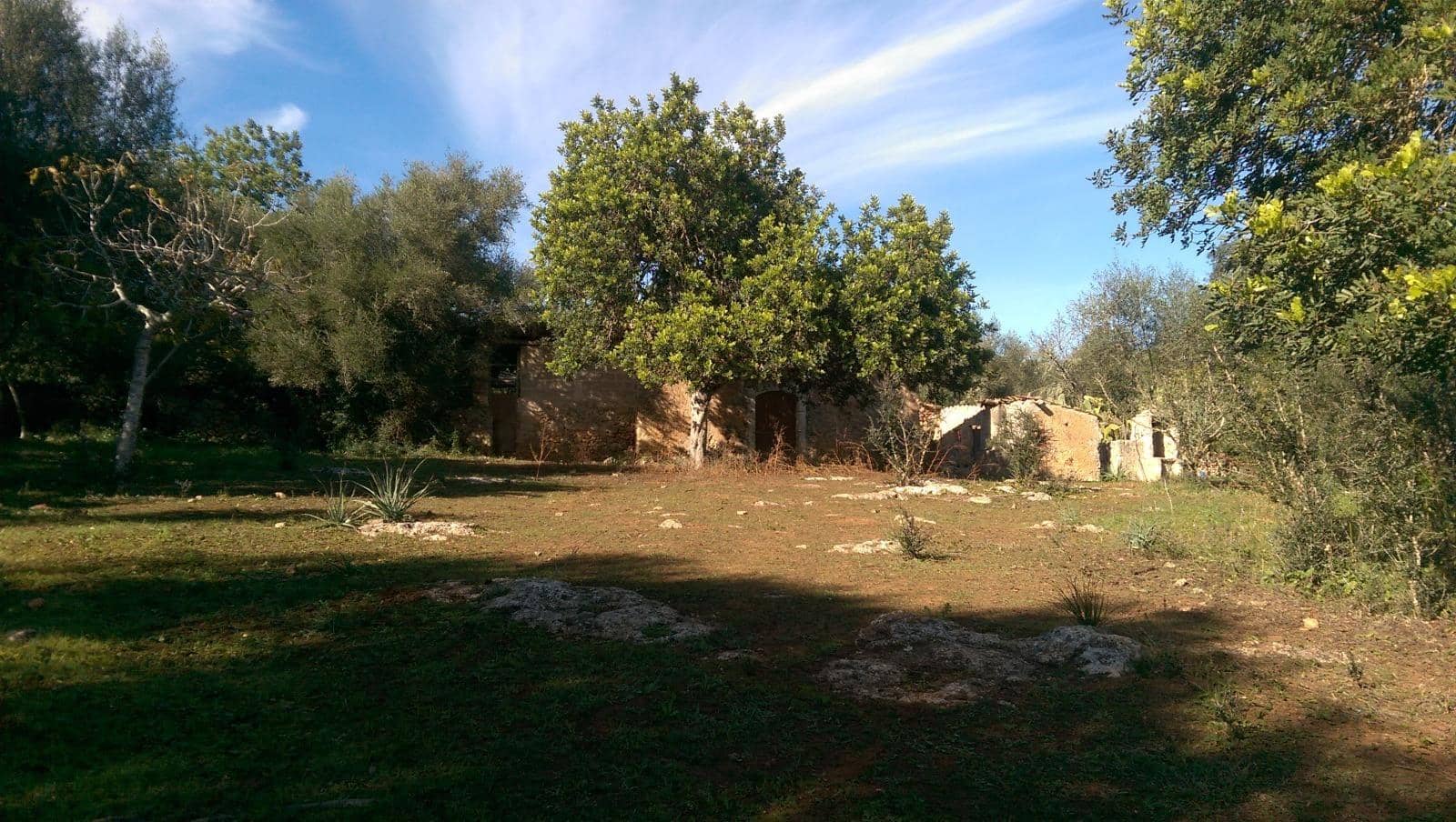 Mark till salu i Llubi - 175 000 € (Ref: 9551837)