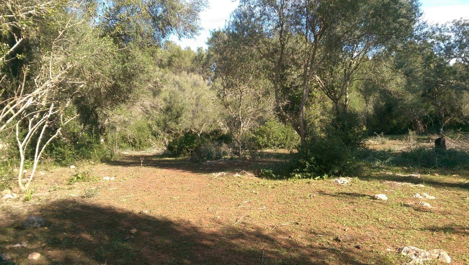 Mark till salu i Llubi - 175 000 € (Ref: 9551837)