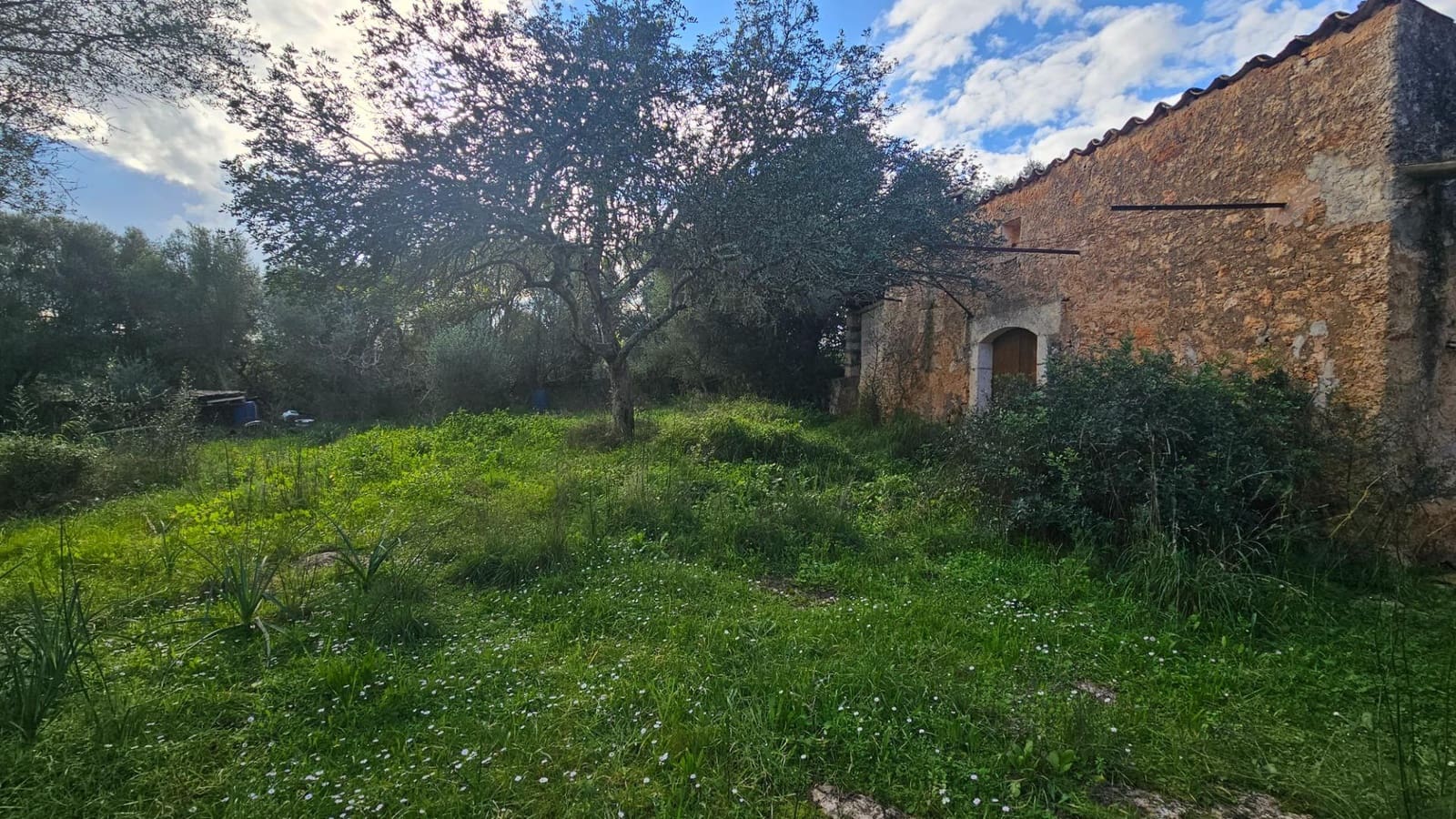 Mark till salu i Llubi - 175 000 € (Ref: 9551837)