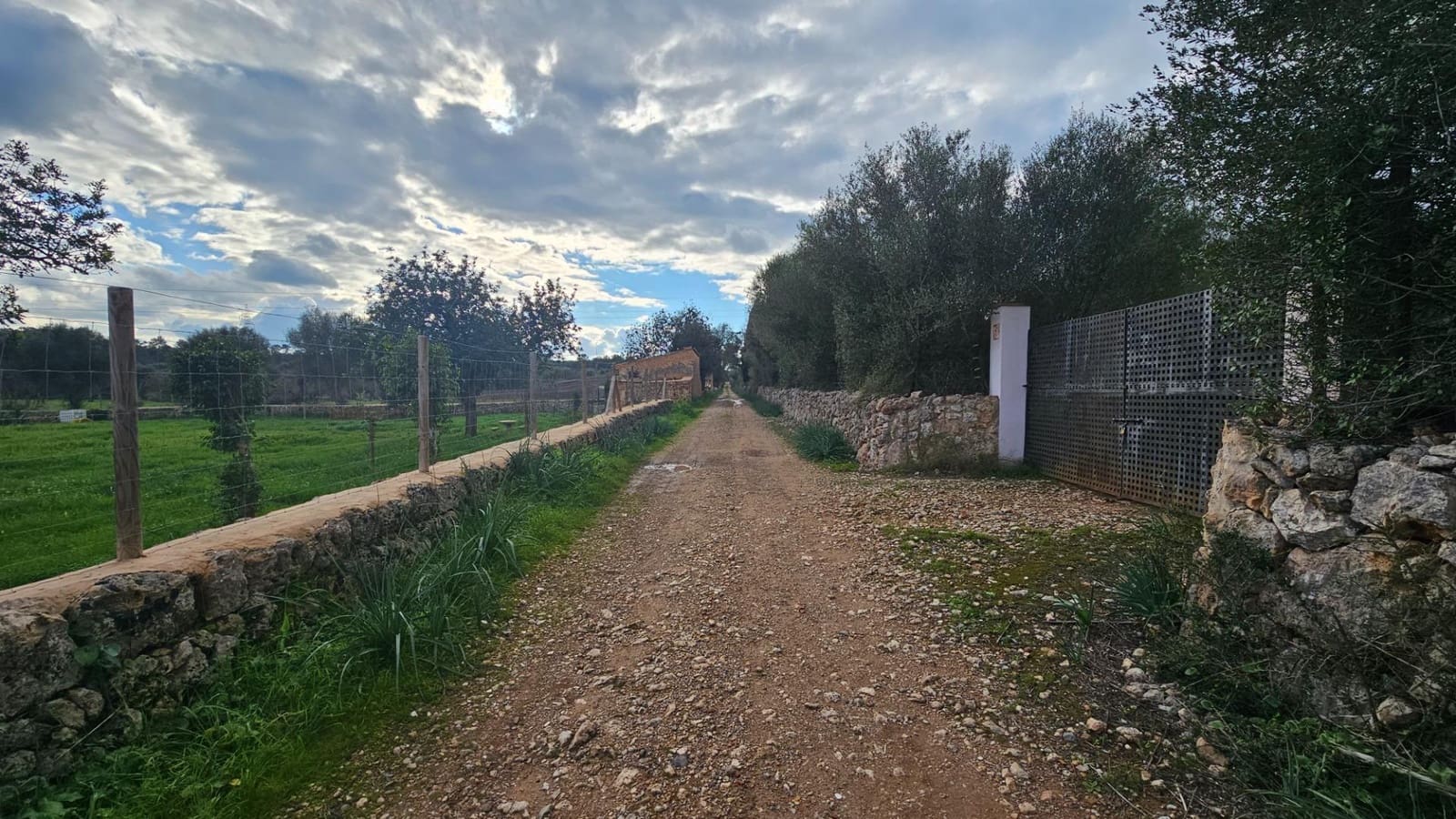 Mark till salu i Llubi - 175 000 € (Ref: 9551837)