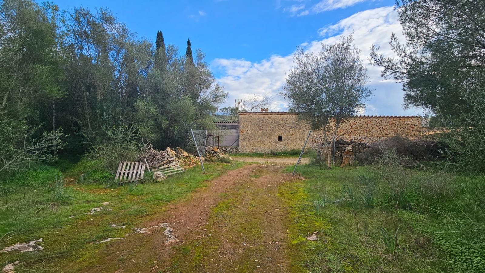 Mark till salu i Llubi - 175 000 € (Ref: 9551837)